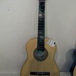 73 2048 GITARR
